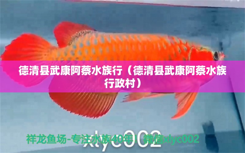 德清县武康阿蔡水族行（德清县武康阿蔡水族行政村）