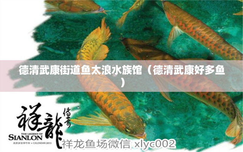 德清武康街道鱼太浪水族馆（德清武康好多鱼） 全国水族馆企业名录