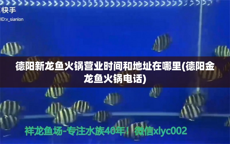 德阳新龙鱼火锅营业时间和地址在哪里(德阳金龙鱼火锅电话) 帝王血钻