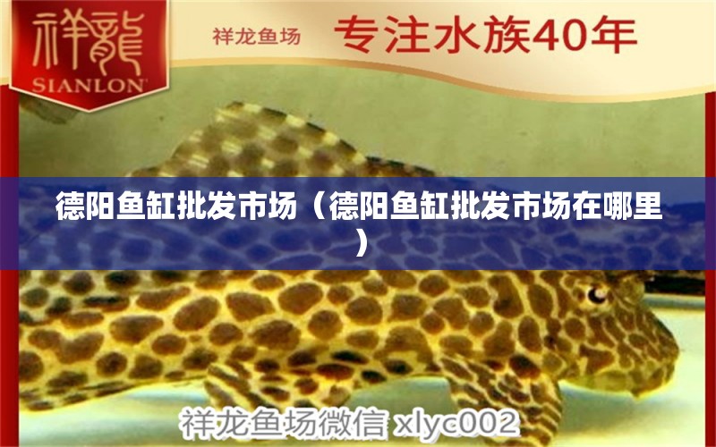 德阳鱼缸批发市场（德阳鱼缸批发市场在哪里） 观赏鱼水族批发市场