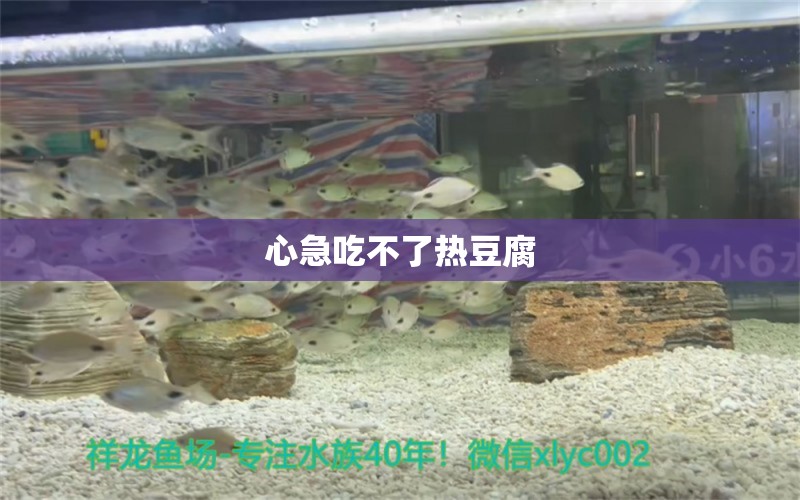 心急吃不了热豆腐 水族维护服务（上门）