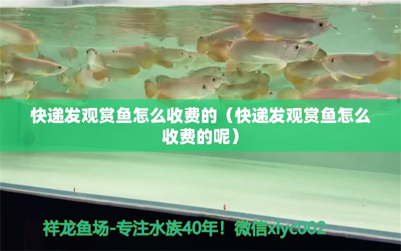 快递发观赏鱼怎么收费的（快递发观赏鱼怎么收费的呢）