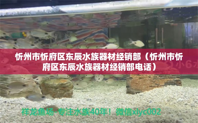 忻州市忻府区东辰水族器材经销部（忻州市忻府区东辰水族器材经销部电话） 全国水族馆企业名录