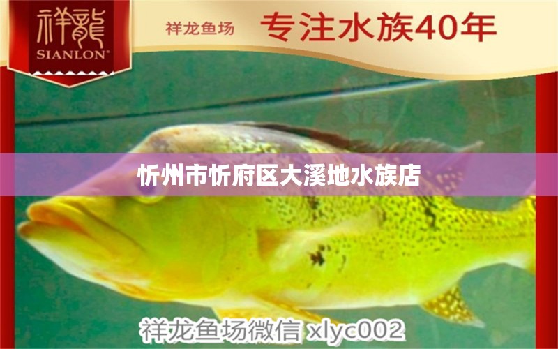 忻州市忻府区大溪地水族店 全国水族馆企业名录