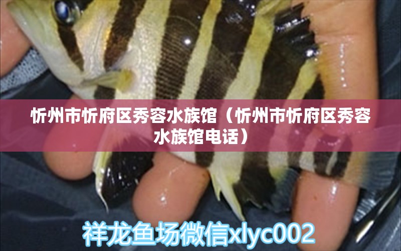 忻州市忻府区秀容水族馆（忻州市忻府区秀容水族馆电话） 全国水族馆企业名录