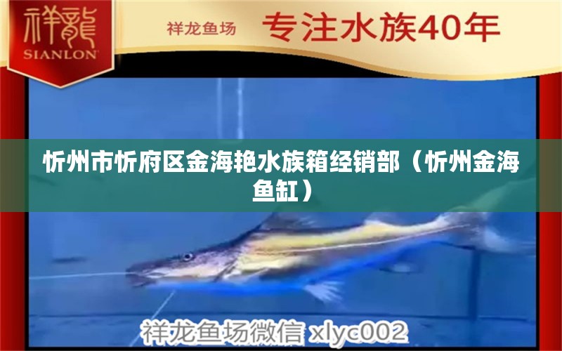 忻州市忻府区金海艳水族箱经销部（忻州金海鱼缸）