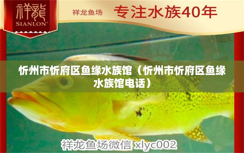 忻州市忻府区鱼缘水族馆（忻州市忻府区鱼缘水族馆电话） 全国水族馆企业名录