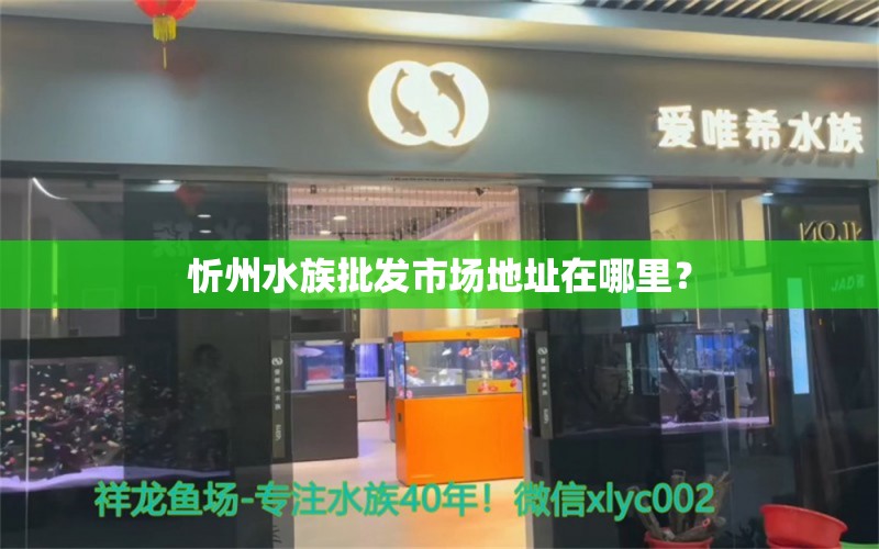 忻州水族批发市场地址在哪里？