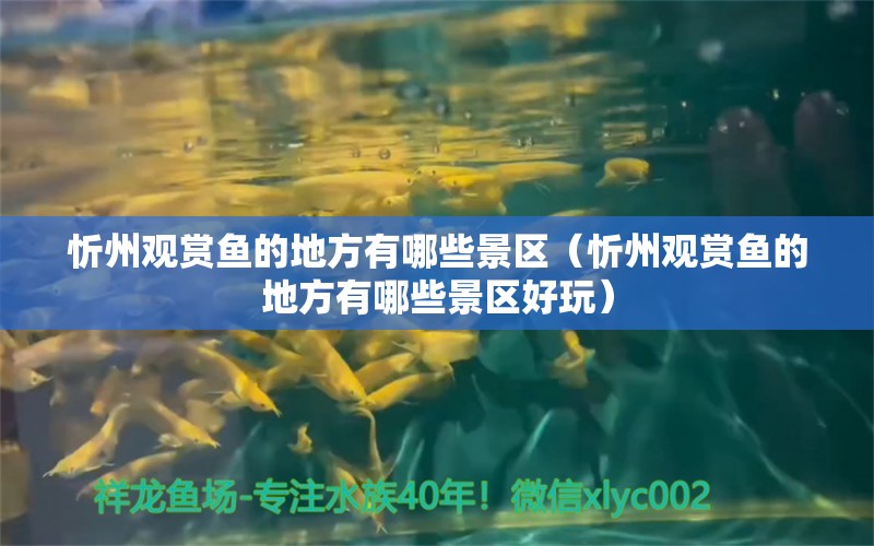 忻州观赏鱼的地方有哪些景区（忻州观赏鱼的地方有哪些景区好玩）