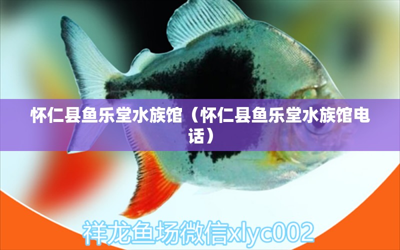 怀仁县鱼乐堂水族馆（怀仁县鱼乐堂水族馆电话）