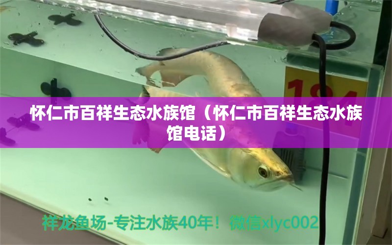 怀仁市百祥生态水族馆（怀仁市百祥生态水族馆电话）