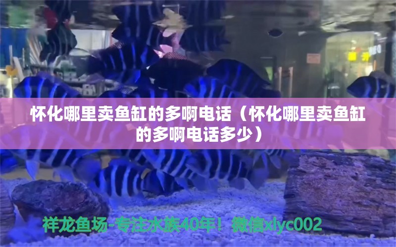 怀化哪里卖鱼缸的多啊电话（怀化哪里卖鱼缸的多啊电话多少） 祥龙水族医院