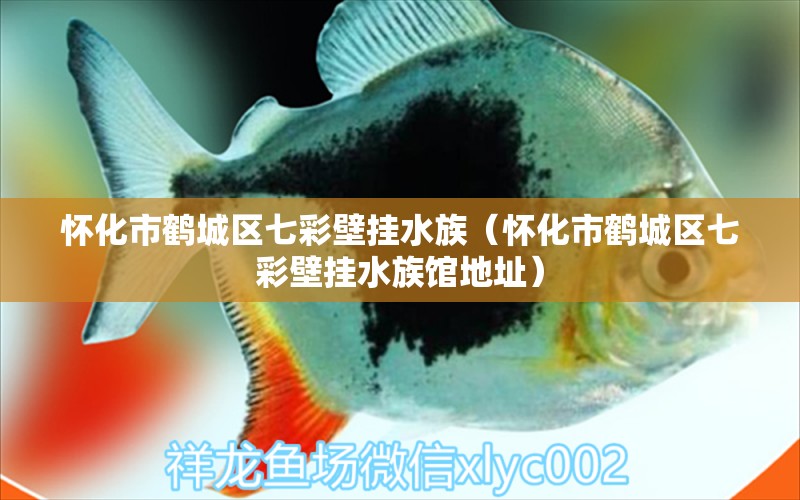 怀化市鹤城区七彩壁挂水族（怀化市鹤城区七彩壁挂水族馆地址）