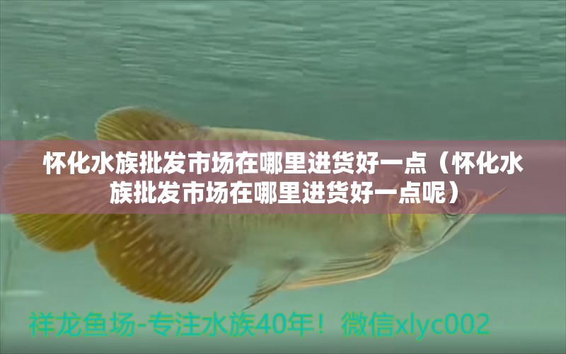 怀化水族批发市场在哪里进货好一点（怀化水族批发市场在哪里进货好一点呢）