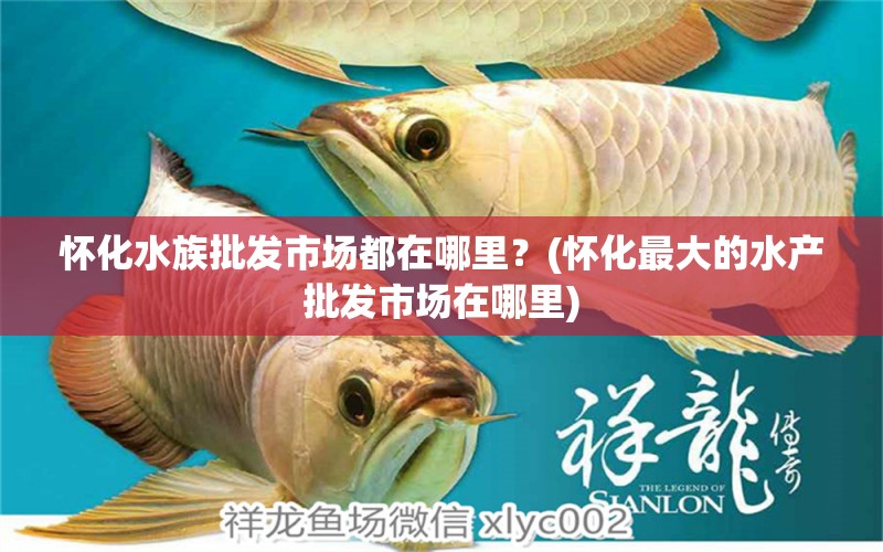 怀化水族批发市场都在哪里？(怀化最大的水产批发市场在哪里) 观赏鱼水族批发市场