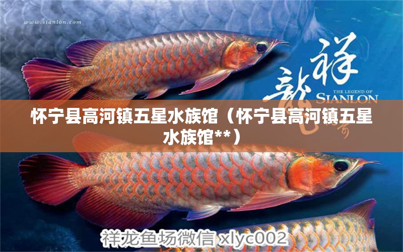 怀宁县高河镇五星水族馆（怀宁县高河镇五星水族馆**）