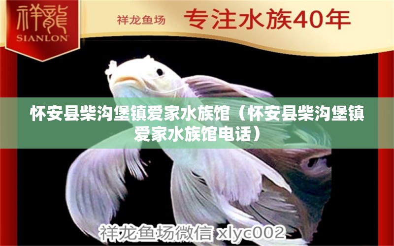 怀安县柴沟堡镇爱家水族馆（怀安县柴沟堡镇爱家水族馆电话）