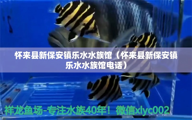 怀来县新保安镇乐水水族馆（怀来县新保安镇乐水水族馆电话）