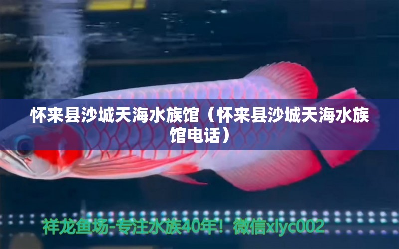 怀来县沙城天海水族馆（怀来县沙城天海水族馆电话） 全国水族馆企业名录