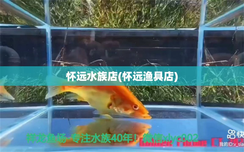 怀远水族店(怀远渔具店)