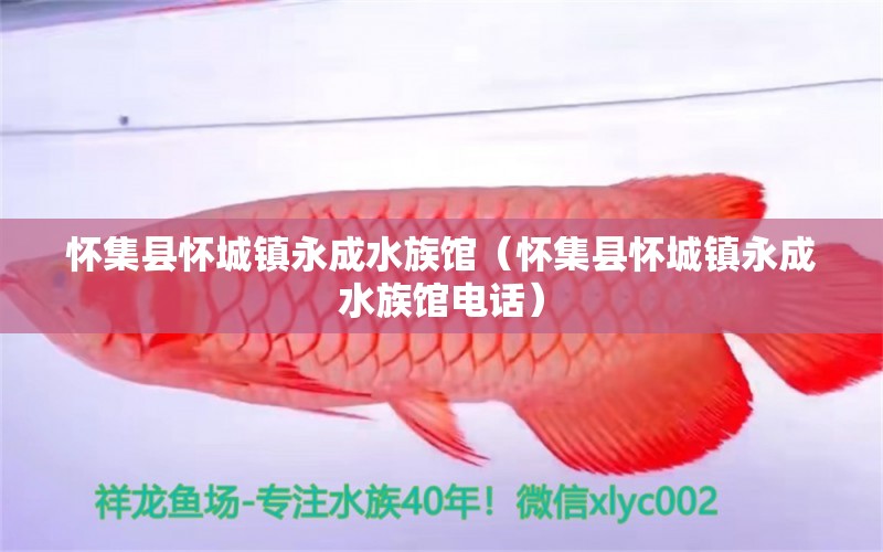 怀集县怀城镇永成水族馆（怀集县怀城镇永成水族馆电话）