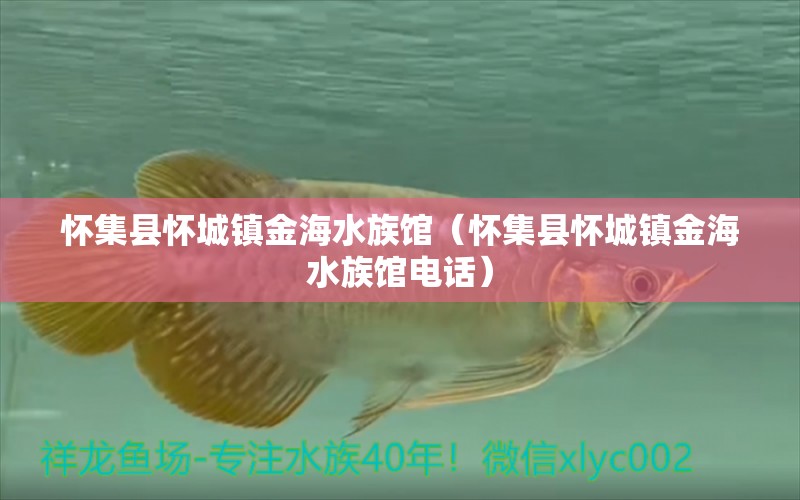 怀集县怀城镇金海水族馆（怀集县怀城镇金海水族馆电话） 全国水族馆企业名录