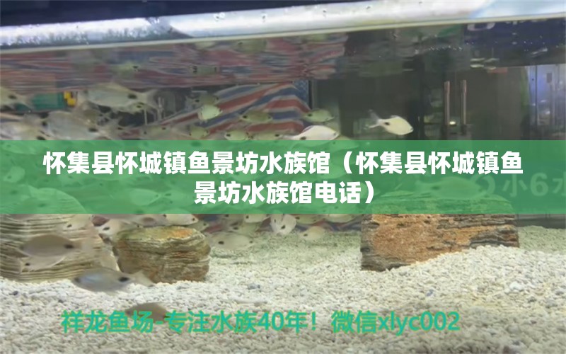 怀集县怀城镇鱼景坊水族馆（怀集县怀城镇鱼景坊水族馆电话）