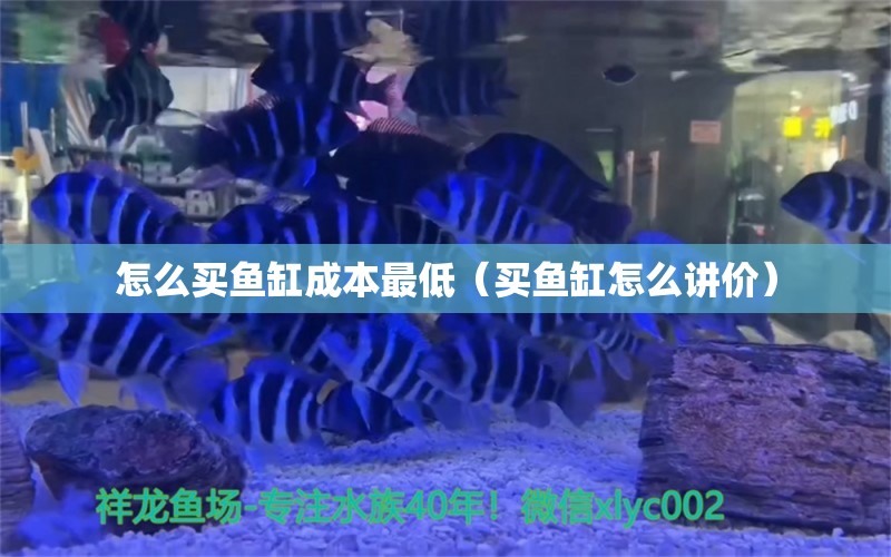 怎么买鱼缸成本最低（买鱼缸怎么讲价） 广州观赏鱼批发市场