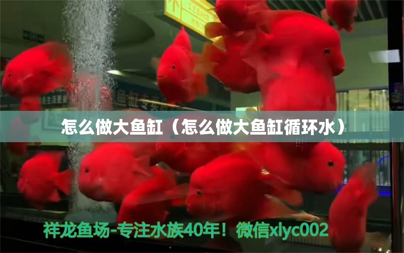 怎么做大鱼缸（怎么做大鱼缸循环水） 祥龙水族医院