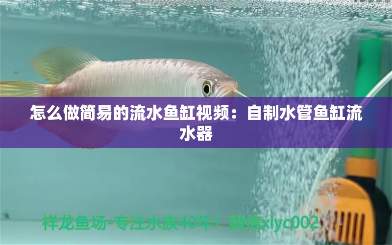 怎么做简易的流水鱼缸视频：自制水管鱼缸流水器 广州水族批发市场 第1张