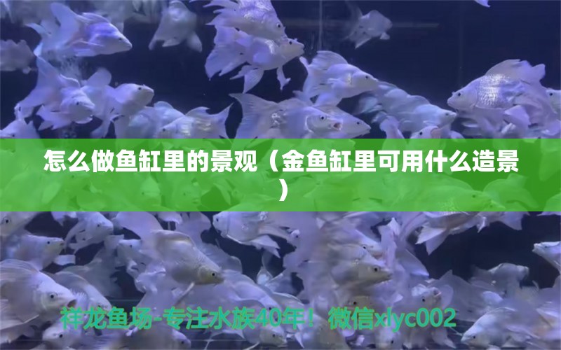 怎么做鱼缸里的景观（金鱼缸里可用什么造景） 羽毛刀鱼苗 第1张