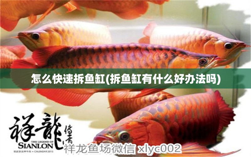 怎么快速拆鱼缸(拆鱼缸有什么好办法吗) 祥龙传奇品牌鱼缸