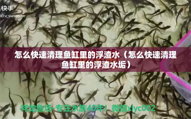 怎么快速清理鱼缸里的浮渣水（怎么快速清理鱼缸里的浮渣水垢） 量子养鱼技术