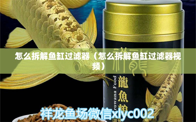 怎么拆解鱼缸过滤器（怎么拆解鱼缸过滤器视频）