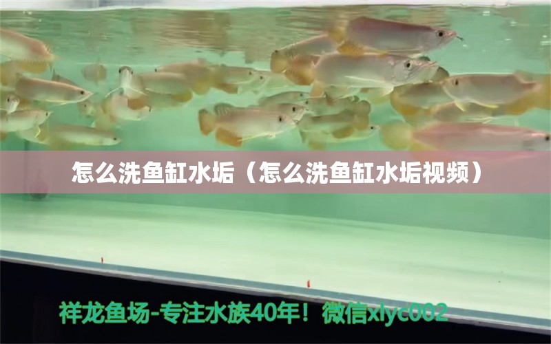 怎么洗鱼缸水垢（怎么洗鱼缸水垢视频） 祥龙龙鱼鱼粮