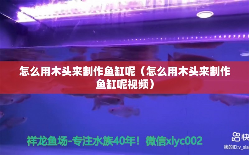 怎么用木头来制作鱼缸呢（怎么用木头来制作鱼缸呢视频） 观赏鱼市场（混养鱼）