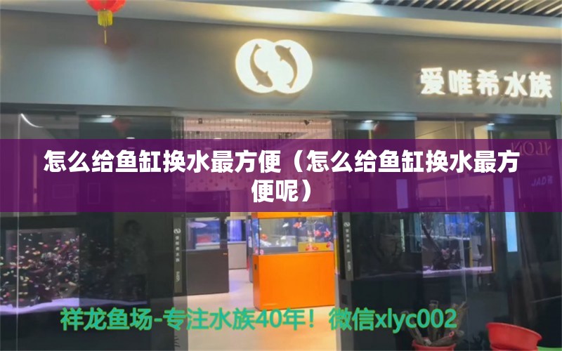 怎么给鱼缸换水最方便（怎么给鱼缸换水最方便呢） 广州祥龙国际水族贸易