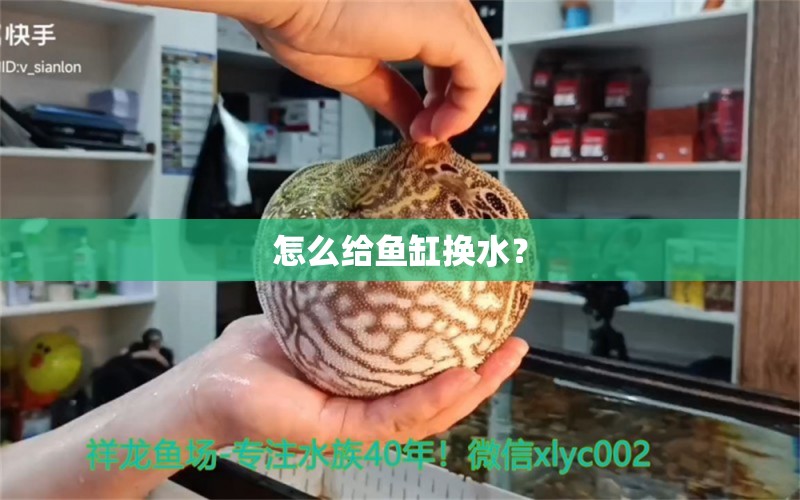 怎么给鱼缸换水？