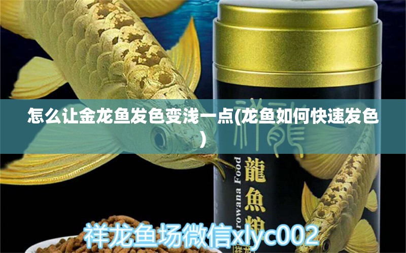 怎么让金龙鱼发色变浅一点(龙鱼如何快速发色) 红尾平克鱼 第1张