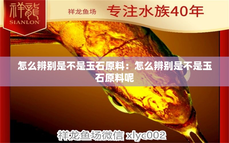 怎么辨别是不是玉石原料：怎么辨别是不是玉石原料呢