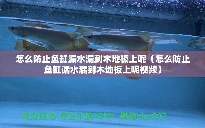 怎么防止鱼缸漏水漏到木地板上呢（怎么防止鱼缸漏水漏到木地板上呢视频）