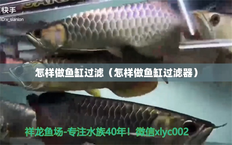 怎样做鱼缸过滤（怎样做鱼缸过滤器） 祥龙水族医院