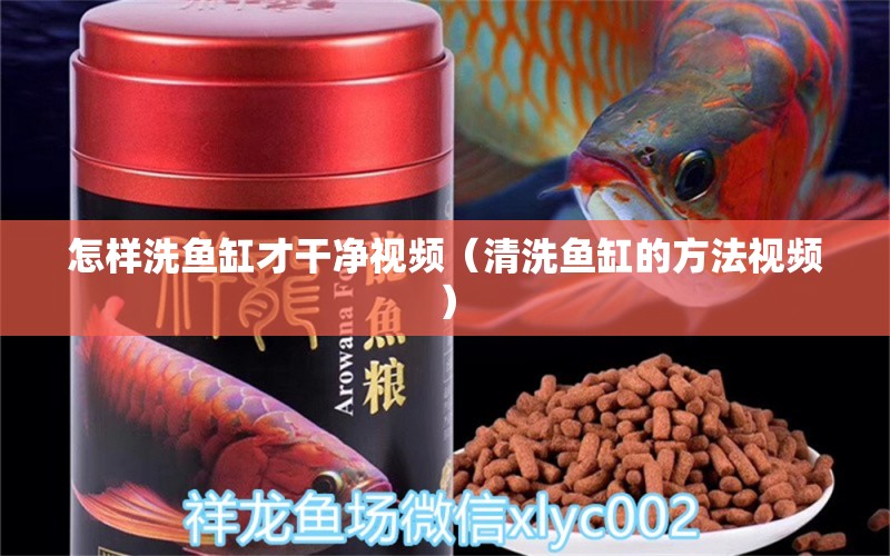 怎样洗鱼缸才干净视频（清洗鱼缸的方法视频） 朱巴利鱼苗 第1张