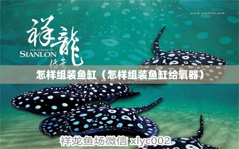 怎样组装鱼缸（怎样组装鱼缸给氧器） 祥龙水族医院