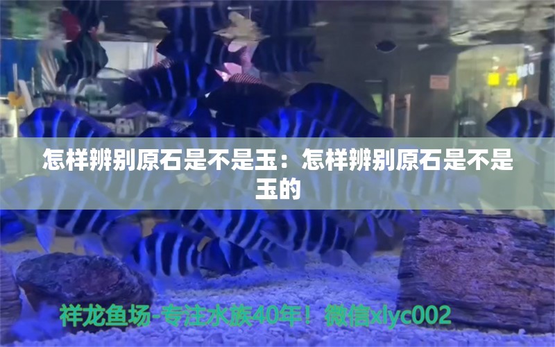 怎样辨别原石是不是玉：怎样辨别原石是不是玉的 文玩