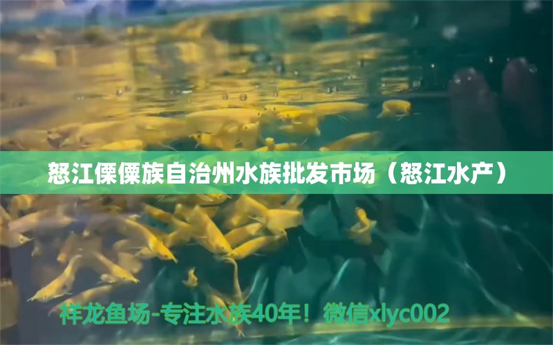 怒江傈僳族自治州水族批发市场（怒江水产）