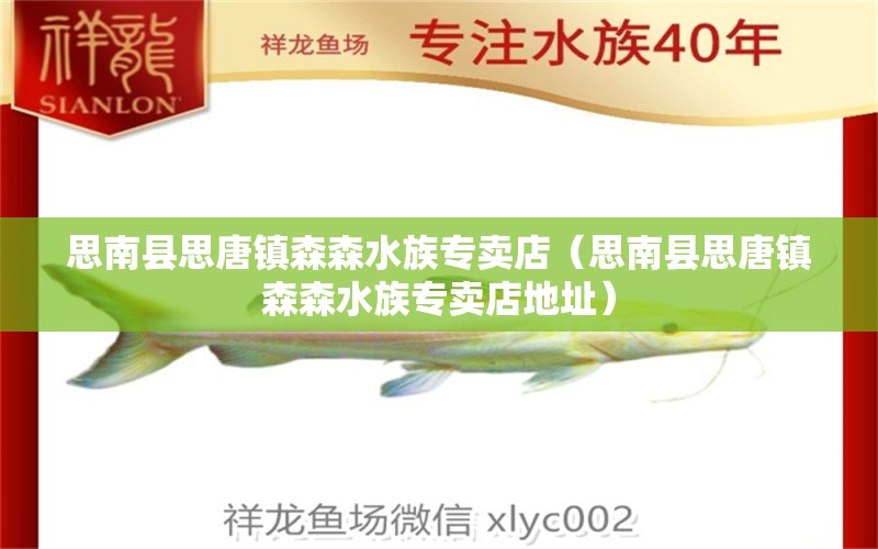 思南县思唐镇森森水族专卖店（思南县思唐镇森森水族专卖店地址）