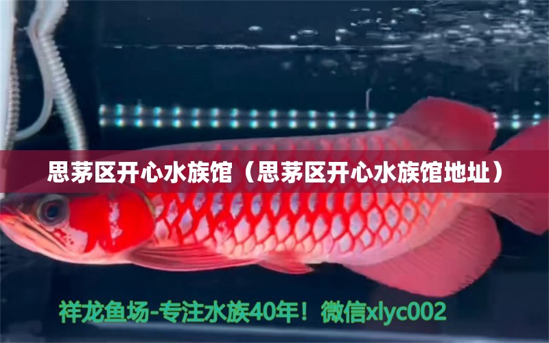 思茅区开心水族馆（思茅区开心水族馆地址）