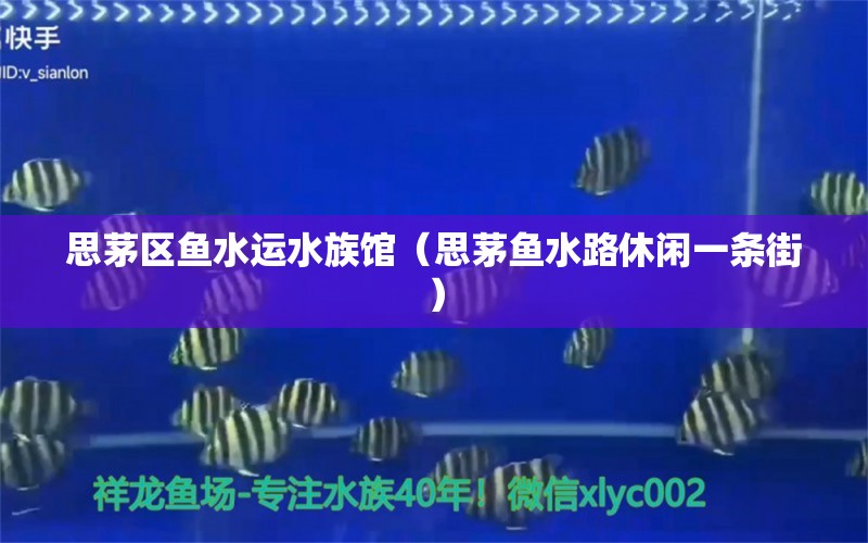 思茅区鱼水运水族馆（思茅鱼水路休闲一条街）