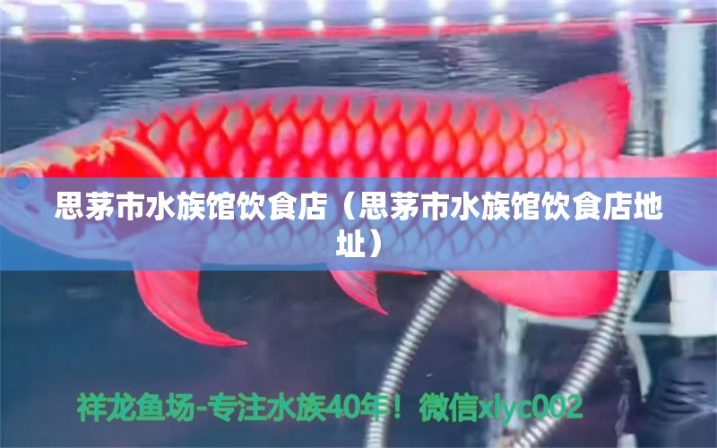 思茅市水族馆饮食店（思茅市水族馆饮食店地址） 全国水族馆企业名录